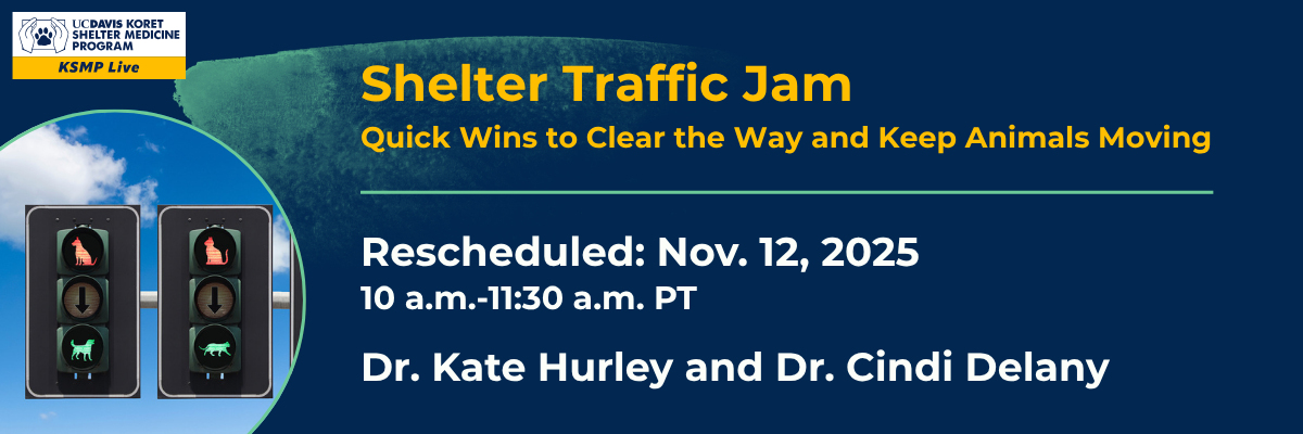 Shelter Traffic Jam Webinar 11/12/25